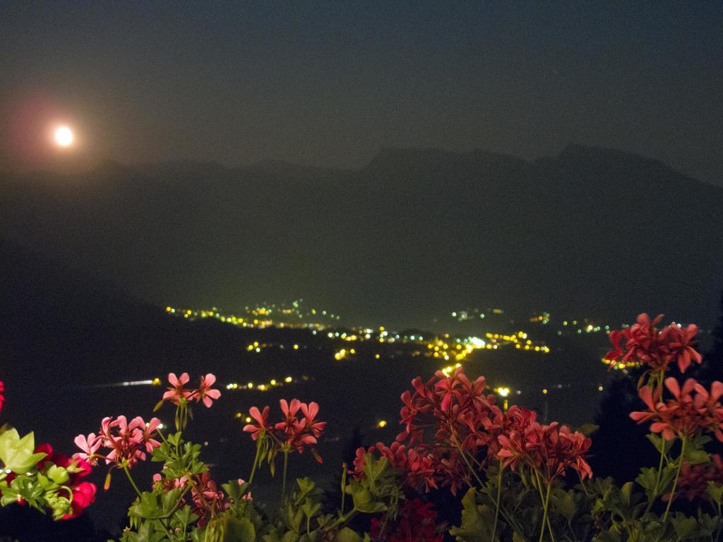 B&B Alba Sul Lago Pergine Valsugana Extérieur photo