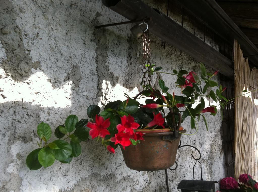 B&B Alba Sul Lago Pergine Valsugana Extérieur photo